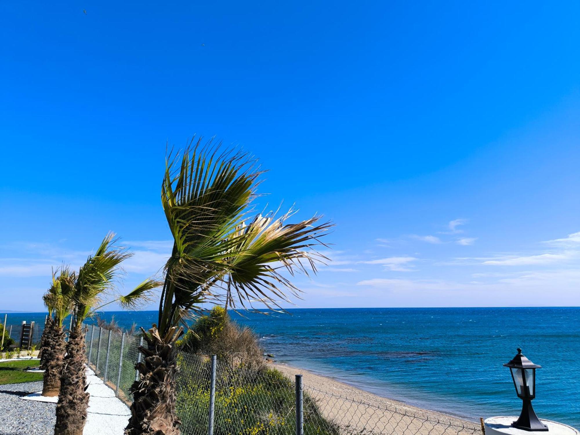 Ataraxia Homes Αλεξανδρούπολη Εξωτερικό φωτογραφία